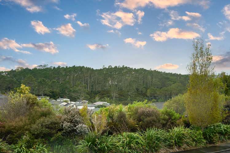6 Hatfield Place Albany Heights_19
