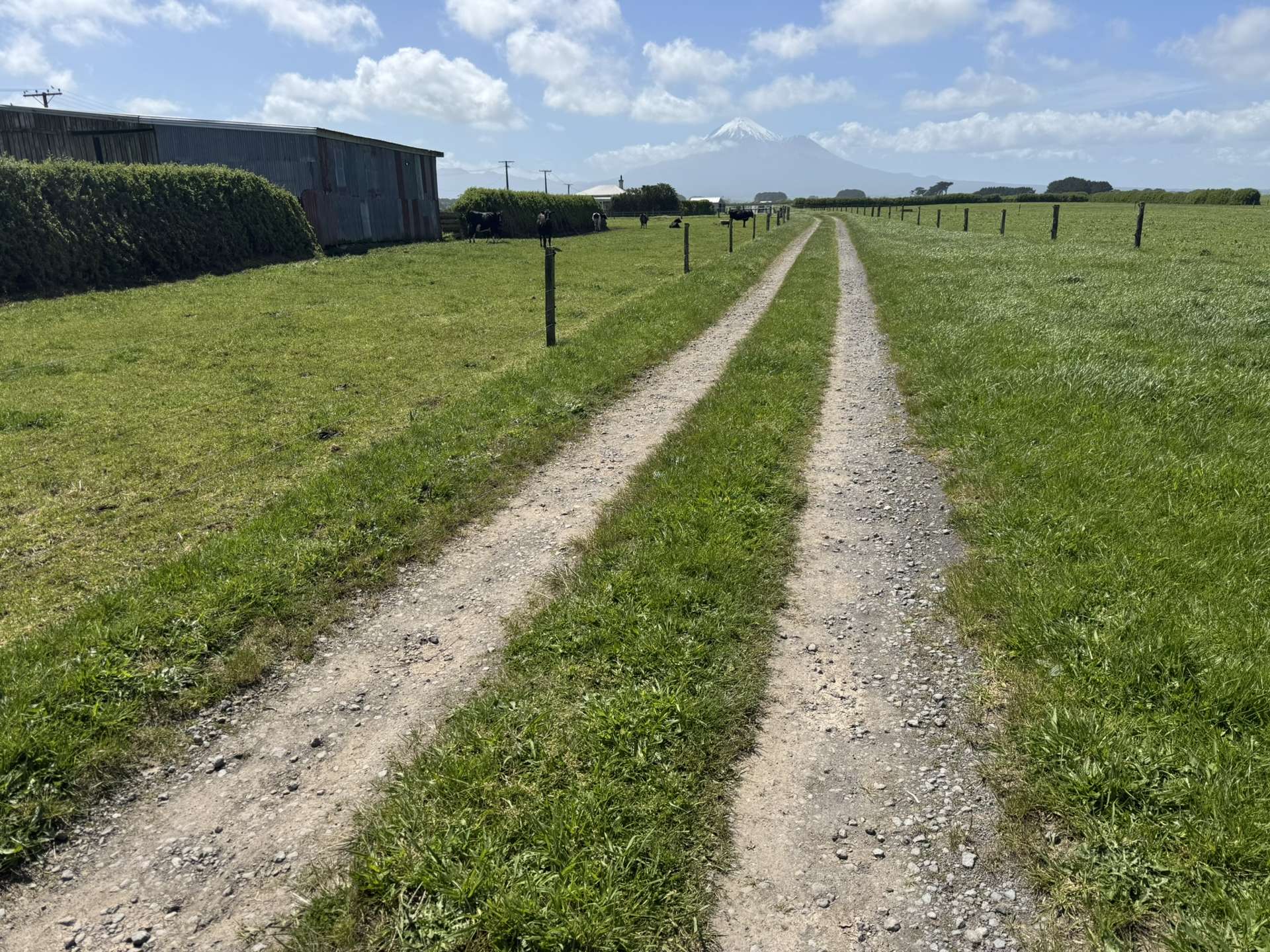 4782 South Road Opunake_0