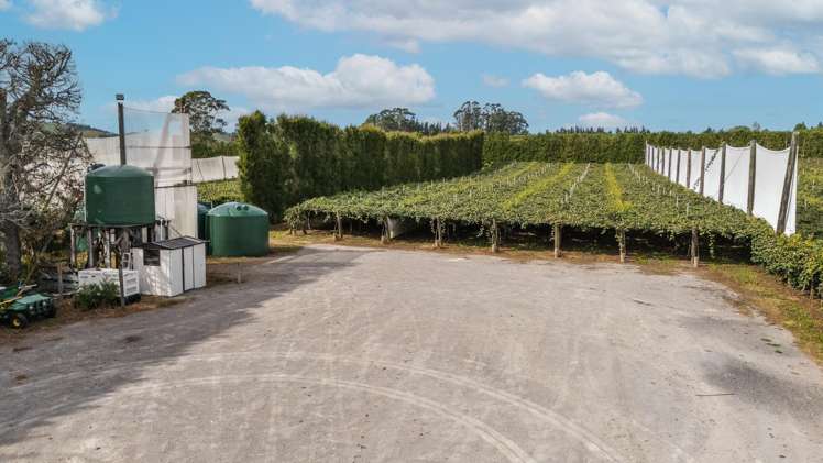 865B Oropi Road Oropi_17