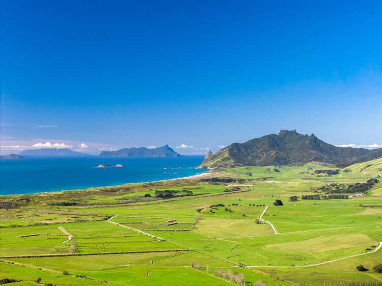 65 Rarangi Heights_0