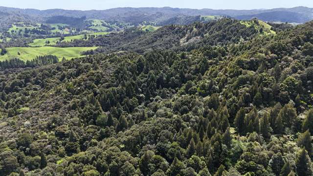 Otangaroa Side Road Kaeo_4