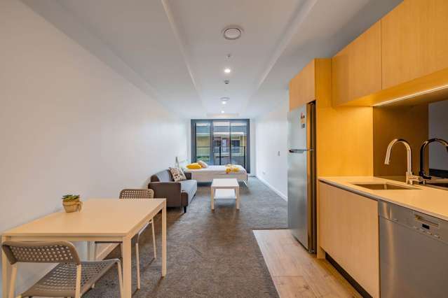 209A/428 Dominion Road Mt Eden_2