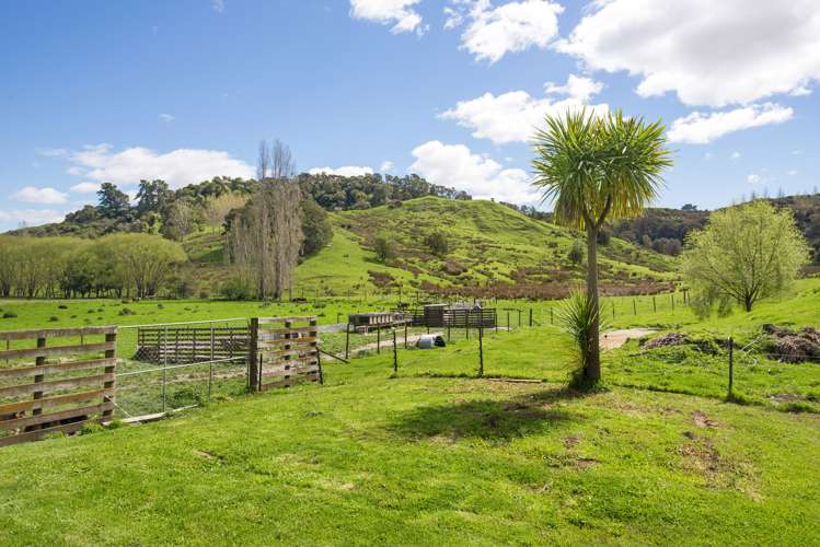 243 Ormond Valley Road Ormond_10