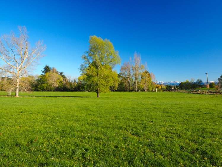 13 Factory Road Cheviot_16