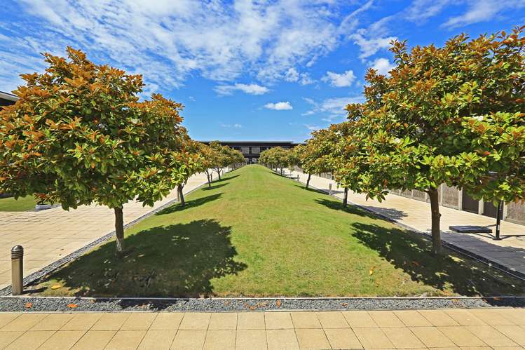 11/9 Humber Street Pandora_7