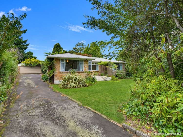 81 Fairy Springs Road Fairy Springs_13