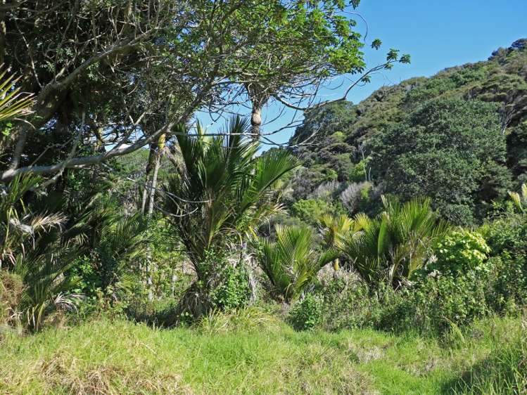 24 Boulder Bay Drive Tuateawa_9