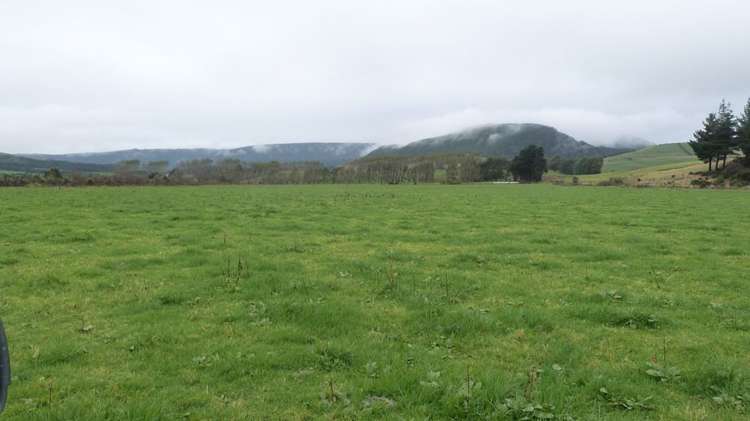 44 Rodgers Road Catlins Surrounds_39