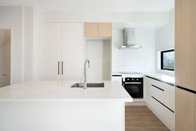 15 Clay Works Lane New Lynn_3