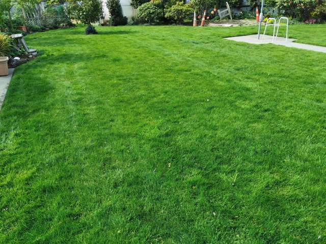 Lawn Care Business Rolleston_2