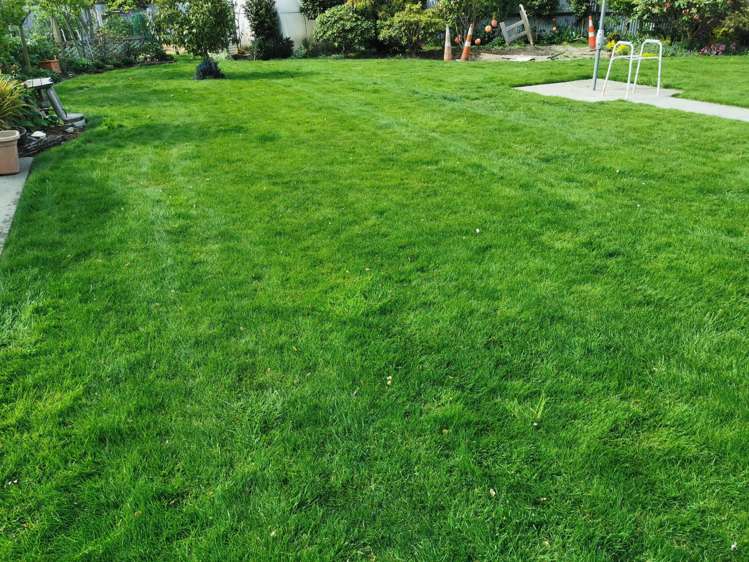 Lawn Care Business Rolleston_2