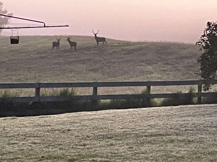 154 Ponsford Road Pollok_22