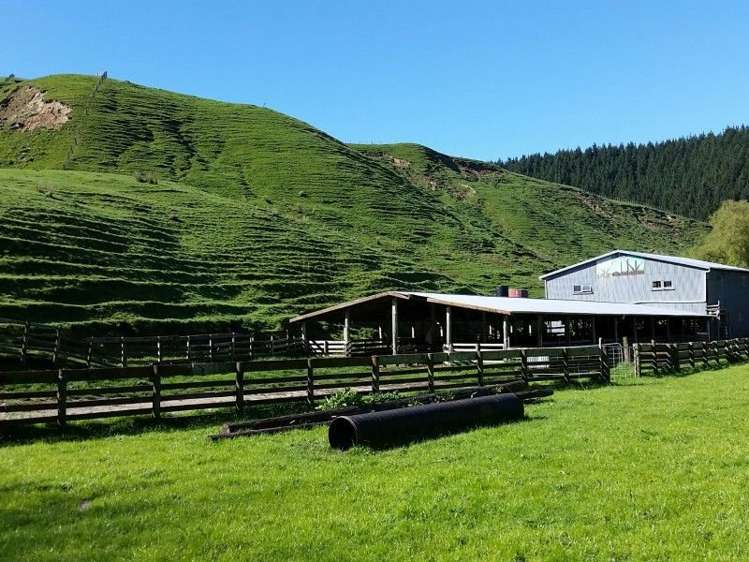 1584a Brunswick Road Kai Iwi_7