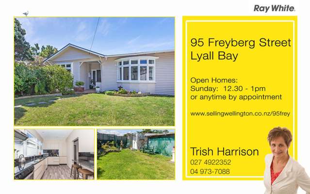 95 Freyberg Street Lyall Bay_1