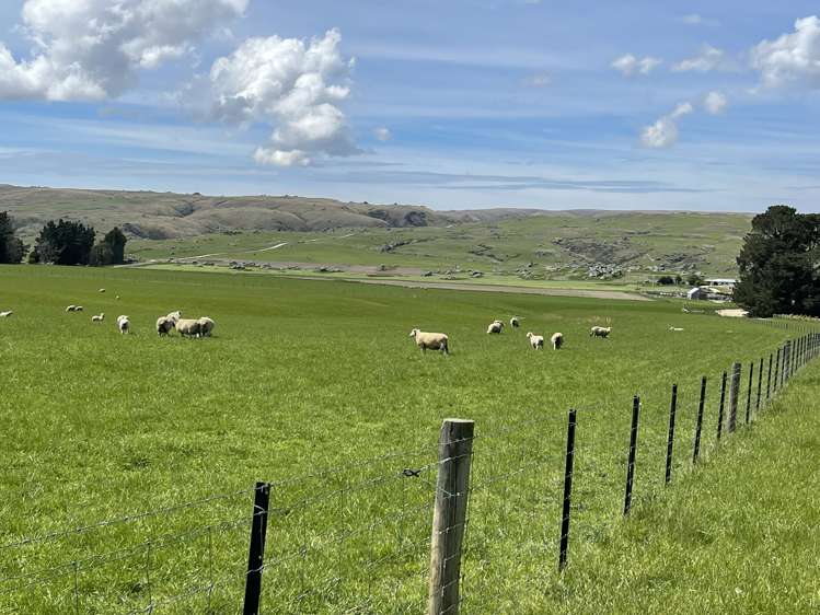 969 Nenthorn Road Moonlight_9