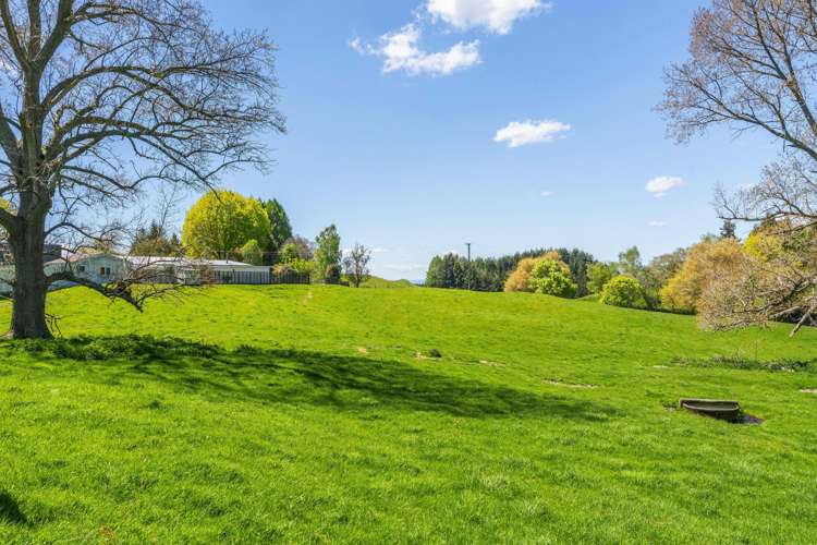 344 Palmer Mill Road Wairakei_30