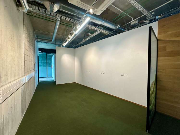 5 Crummer Road Grey Lynn_5