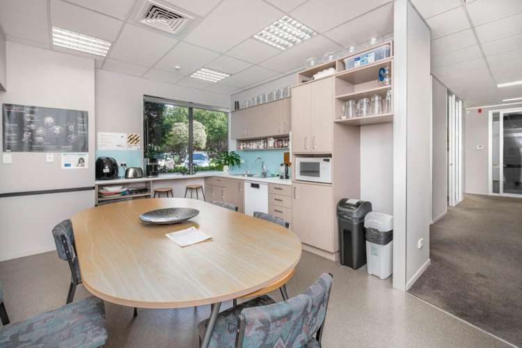 41 Monmouth Street Tauranga Central_7