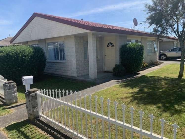 65 Winchester Street Levin_10