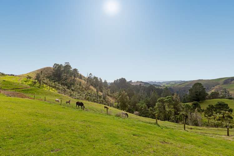 100 Kaitemako Road South Ohauiti_19