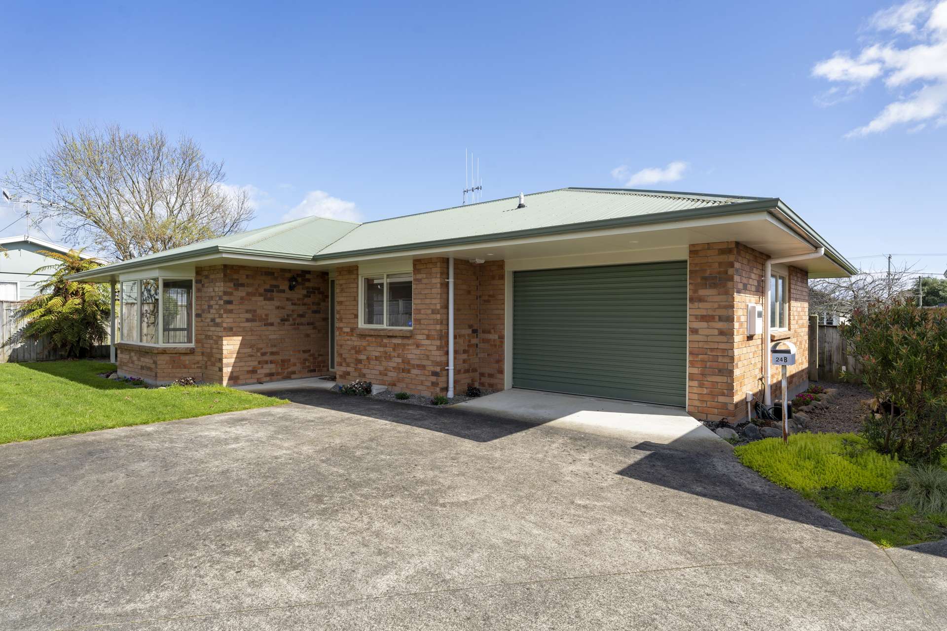 24B Reeve Street Levin_0