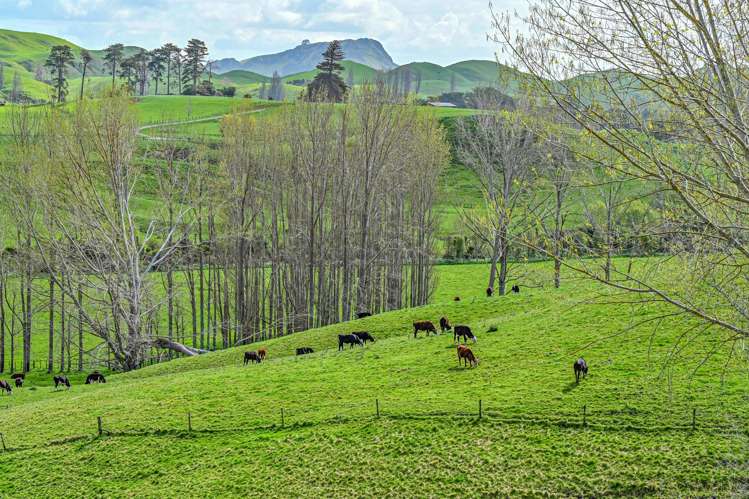 634 Maraetotara Road Kahuranaki_31
