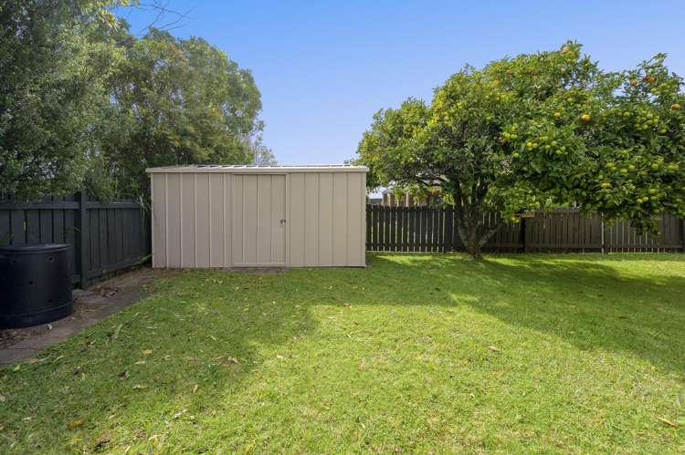 35 Clivedene Street Matua_24