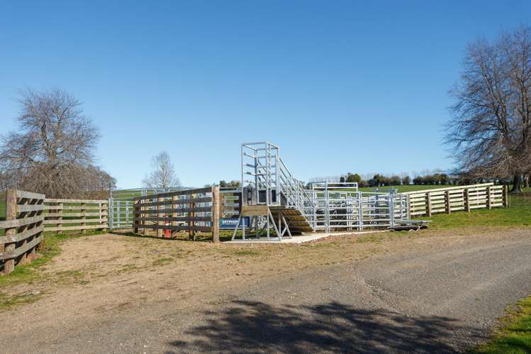 97 Herbert Road Morrinsville_25