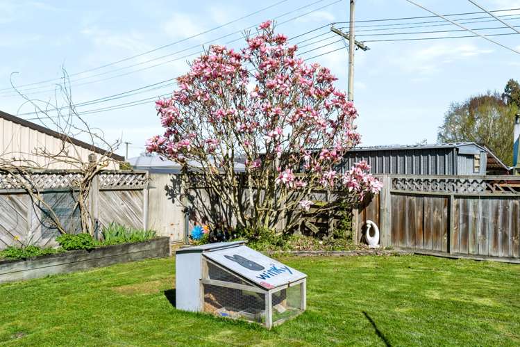 67 Johnson Street Milton_32