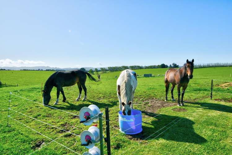 47 Humphries Road Gore_12