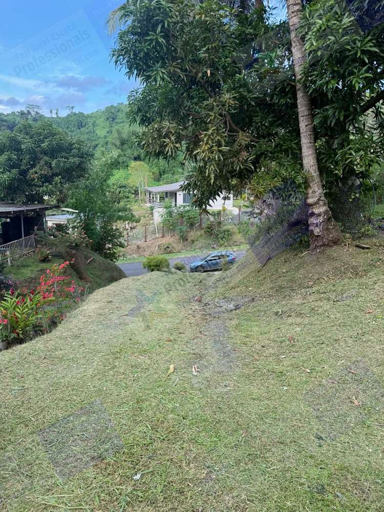 Address withheld Savusavu_27