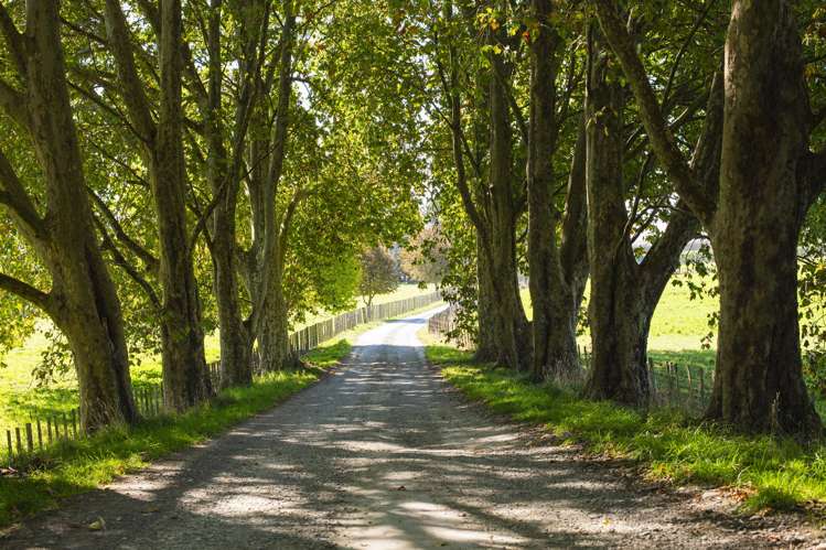 767 Wharerata Road_3