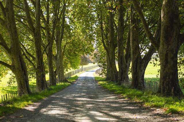 767 Wharerata Road Manutuke_3