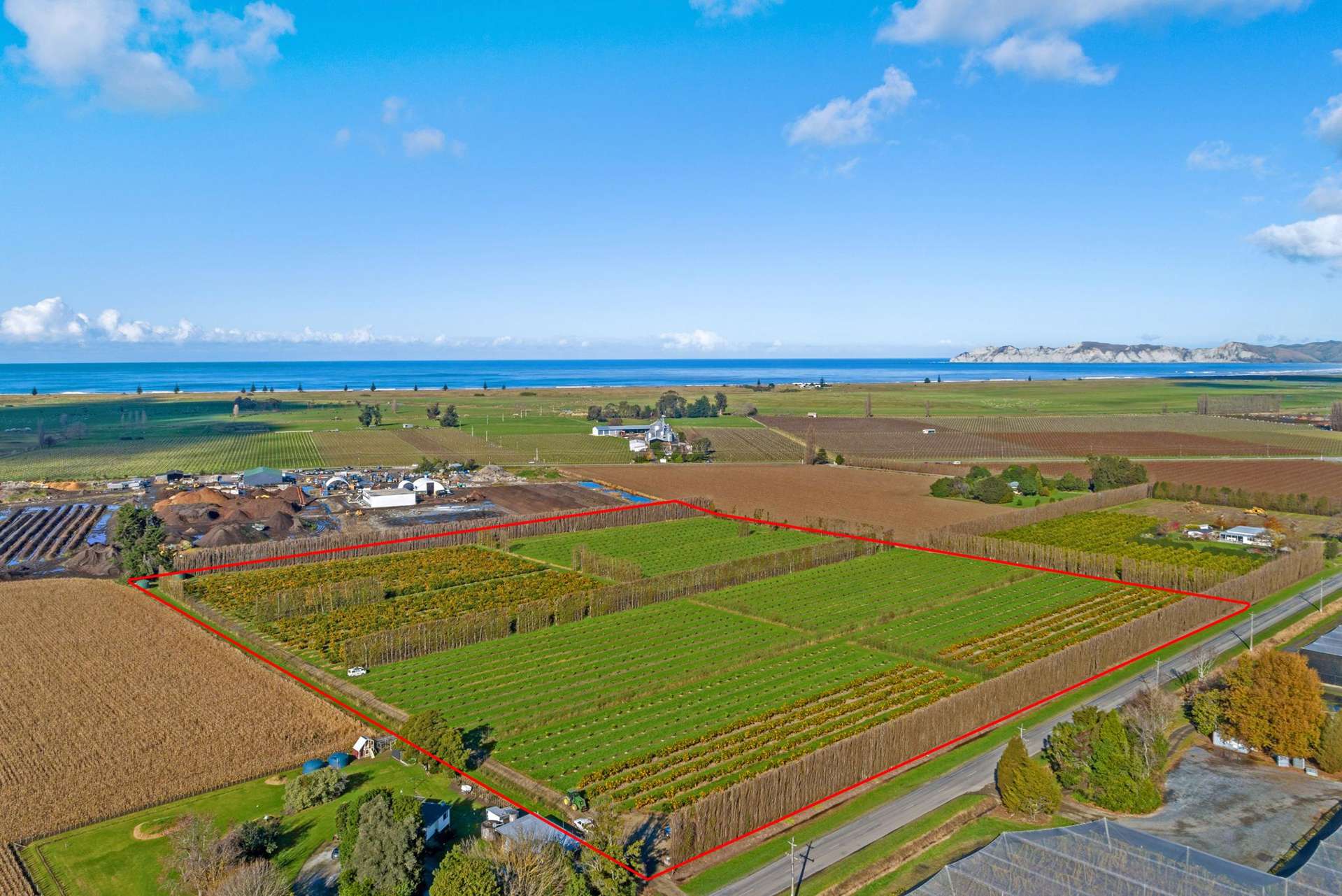 153 Willows Road Matawhero_0