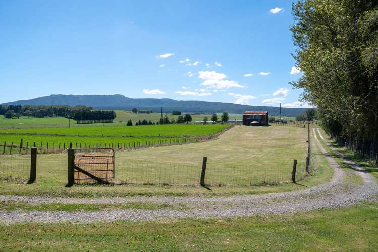 202 Ngamotu Road Rerewhakaaitu_31