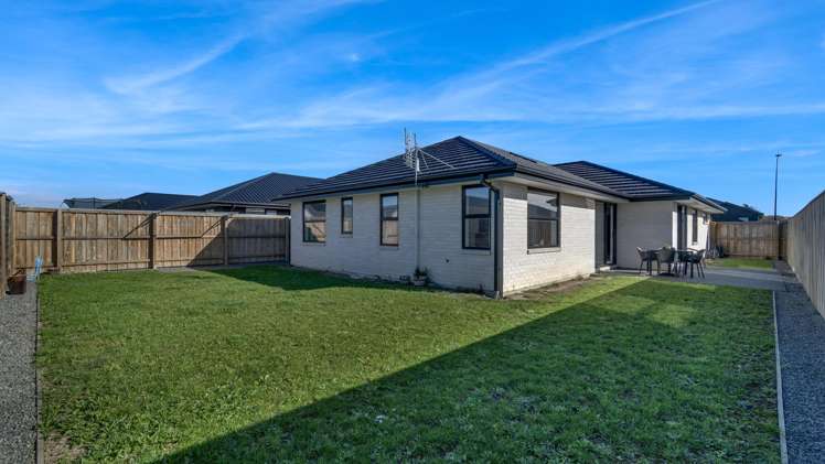 28 Higgins Street Ravenswood_15