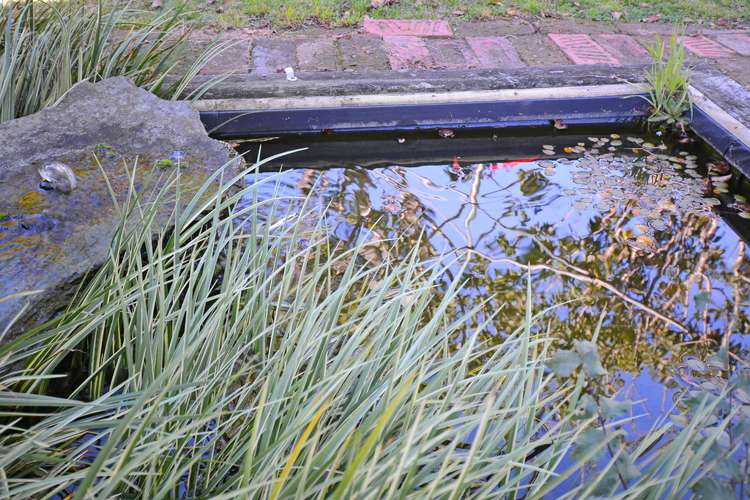 20 Riddlers Crescent Petone_18