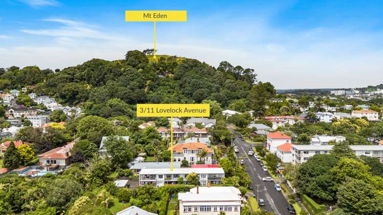 3/11 Lovelock Avenue Mount Eden_13