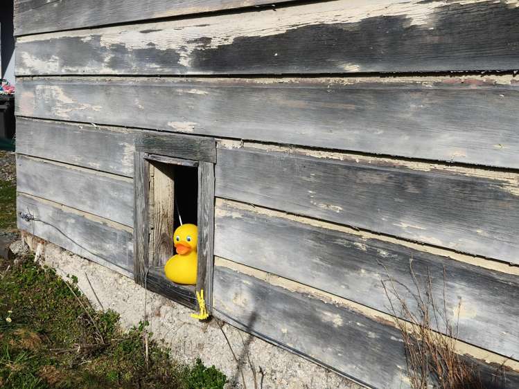 1 Pladda Street Lawrence_5