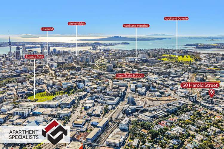 50 Harold Street Mount Eden_21