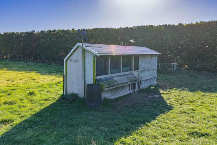 186 Terrace Road Leithfield_30
