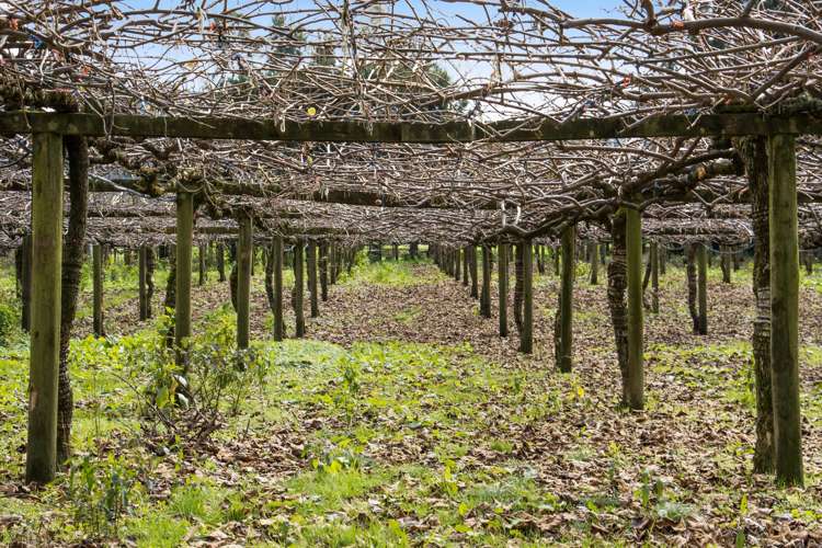 25 Kingsley Road Waihi_25