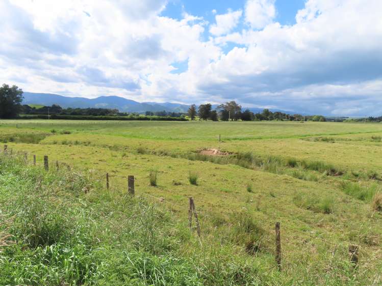 87 Otanga Road Dannevirke_5