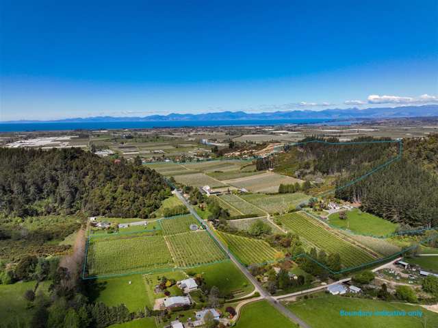 Vaila Orchard Riwaka, Tasman