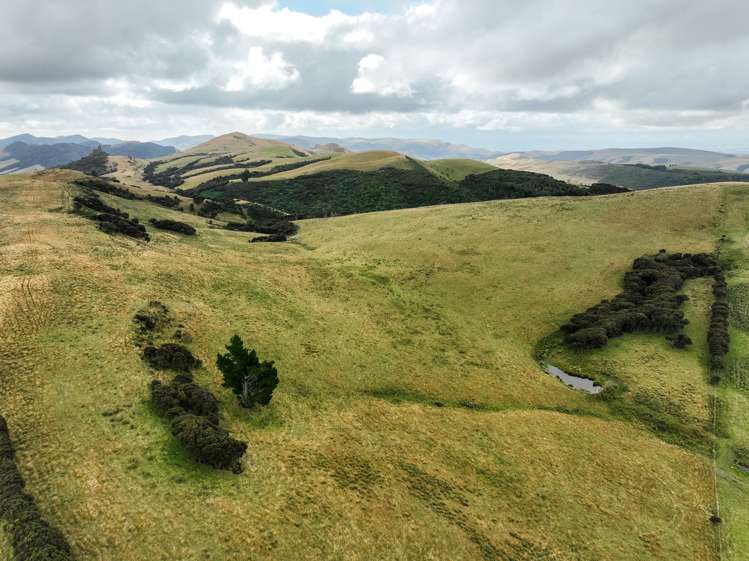 1320 Hunt Road Catlins Surrounds_10