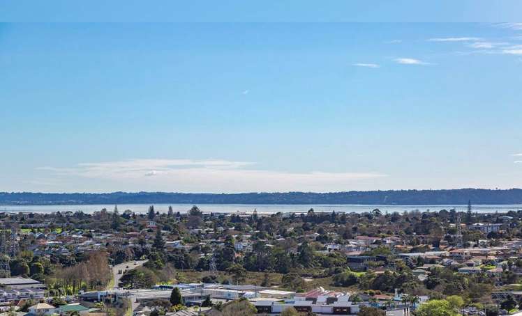 1309/20 Mccrae Way New Lynn_0