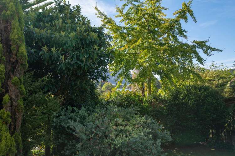 26 Okareka Loop Road Lake Okareka_25