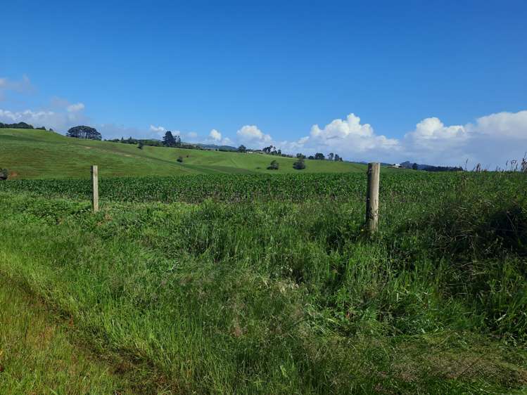 35 Grove Access Road Karamu_35