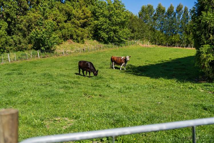 35 Knyvett Road Aongatete_29