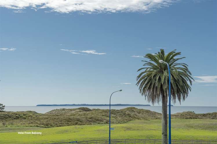 2 Palm Beach Boulevard Papamoa_18